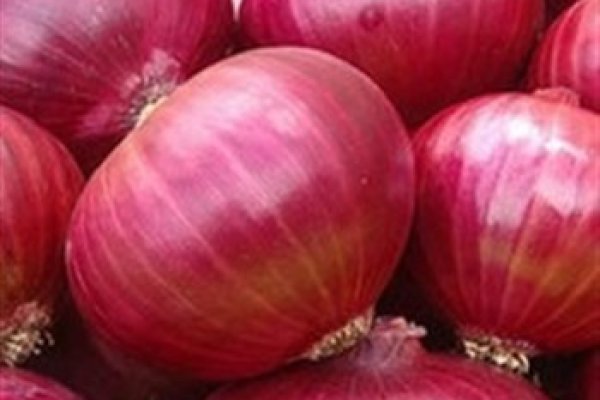 Кракен ссылка onion