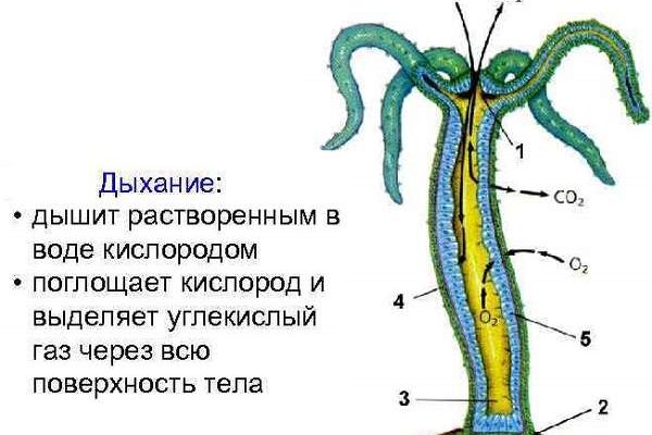 Кракен торговая площадка